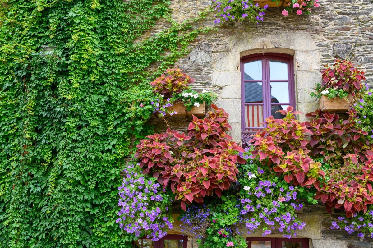 maison fleurie dans le village de Rochefort-en-Terre 