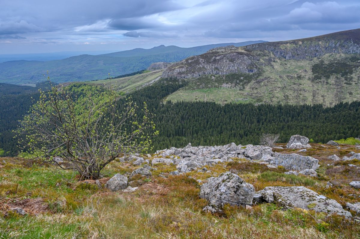 Etape Mandailles - Super Lioran - GR400