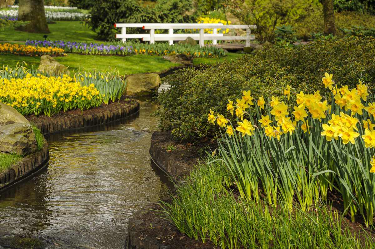 Le parc du Keukenhof