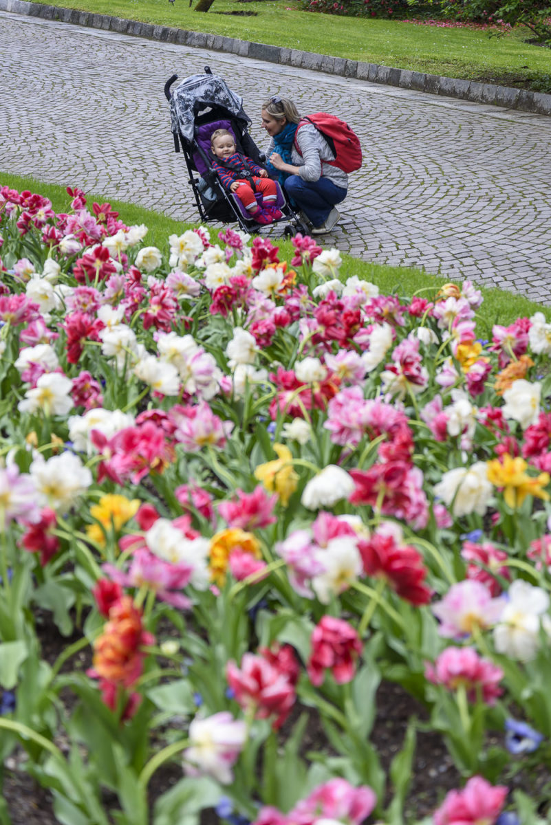 Jardin de la Villa Taranto avec des enfants